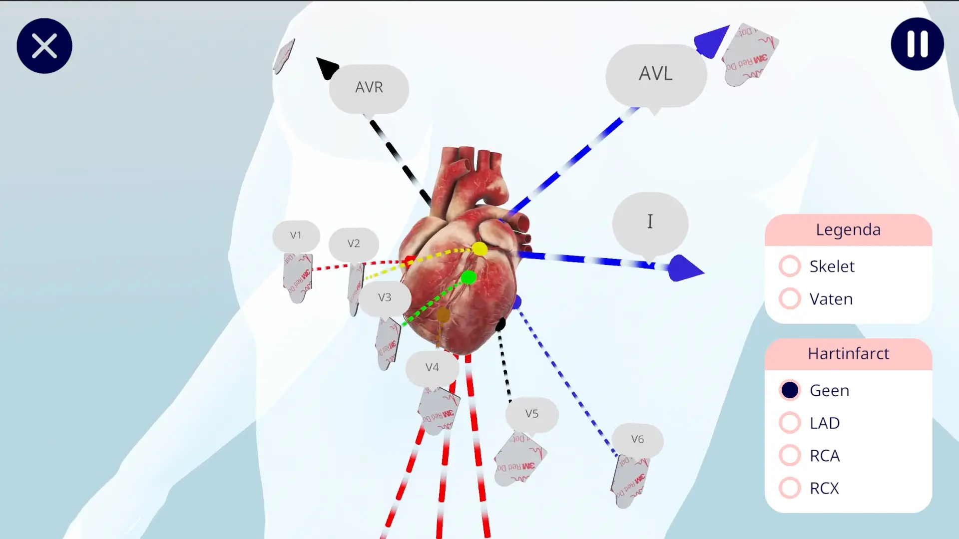 het interactieve 3D-hart met geleiding